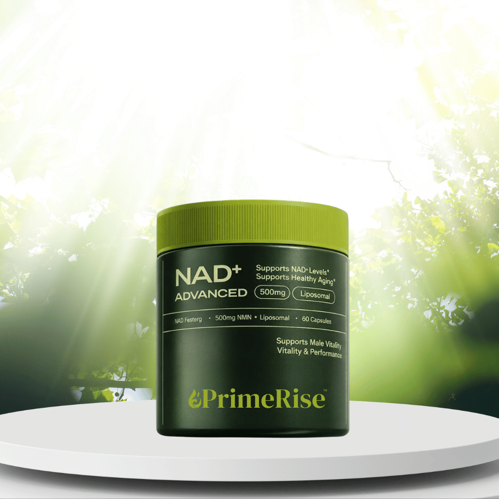 PrimeRise