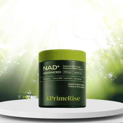 PrimeRise