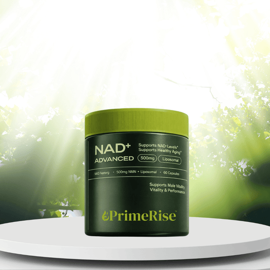 PrimeRise