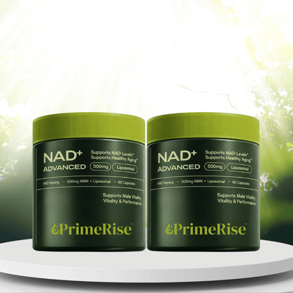 PrimeRise